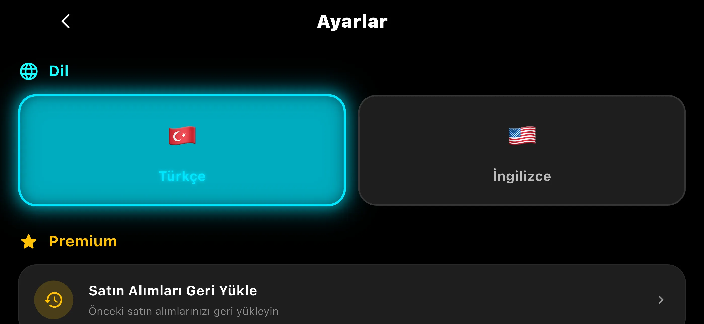 Turkish Screenshot 6